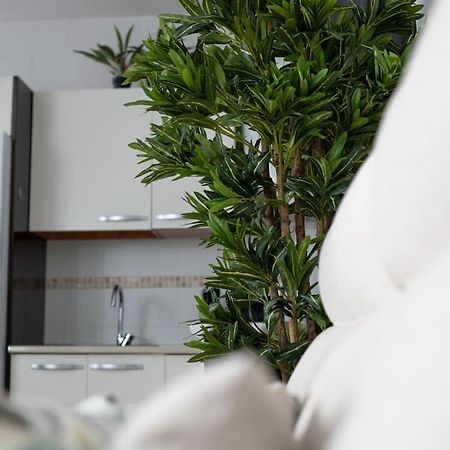 Trinidad Apartment Malaga Bagian luar foto